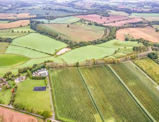 Land And Buildings At Hillhampton Farm Hillhampton