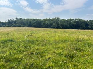 Land Opposite Beechgrove Farm Quarhouse Lane